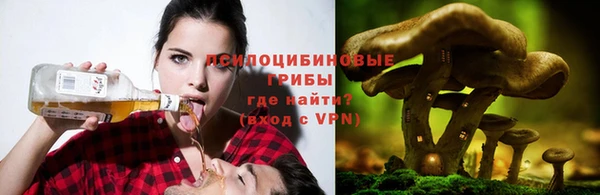 прущая мука Протвино